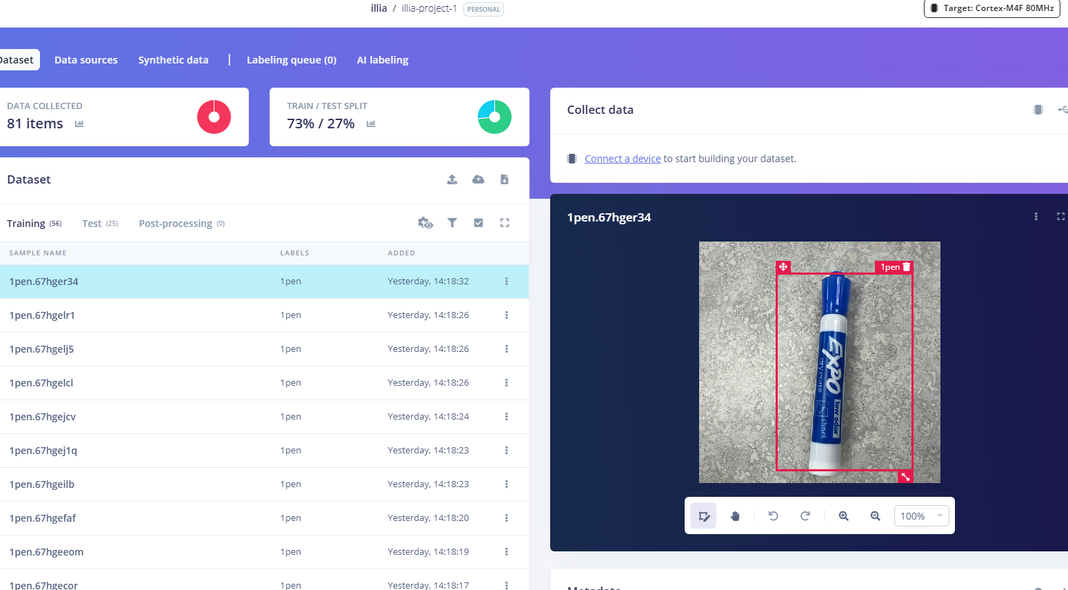 Data Entry Screenshot